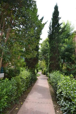 Location appartement 3 pièces - 51m² à Toulouse (31300) - Photo 3