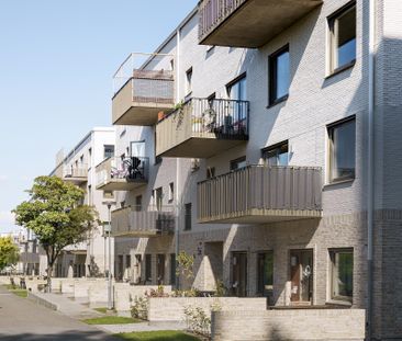 Sankt Hans Gränd 54 - Photo 4