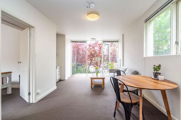 Unit 15/259 Domain Road, - Photo 1