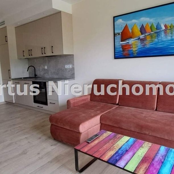 2 pokoje CENTRUM - super lokalizacja !!! , RZESZÓW - - Zdjęcie 1