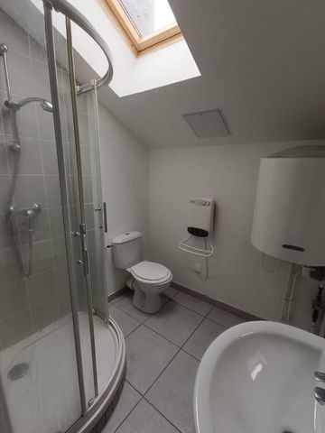 Location Appartement 1 pièce 19m² NANCY 54000 - Photo 5