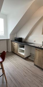 Location Appartement 1 pièce 287m² ANGERS 49100 - Photo 3