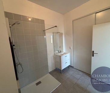 Appartement 3 pièces à louer au coeur de Blois - Photo 5