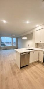 $1,575 / 1br - 549ft2 - New, Cat-Friendly 1 Bedroom Apartment - Photo 3