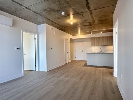 30 Avenue Joseph Lafléche, #502 - Photo 4