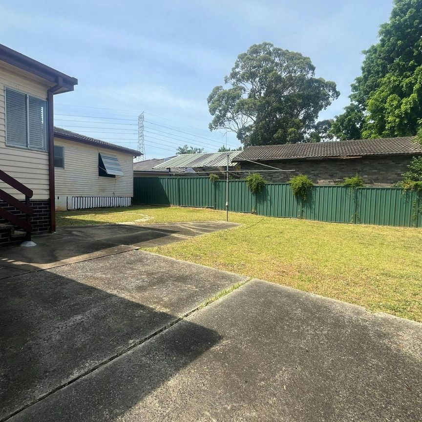 Freshly Painted - New Kitchen - Photo 1