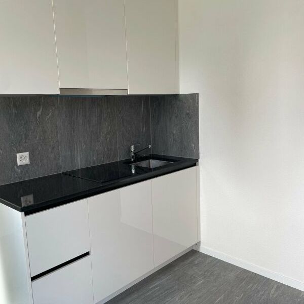 -Helle 1-Zimmer-Wohnung/ Studio an zentraler Lage in Zürich - Photo 1