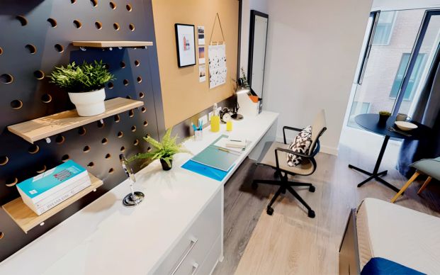 Bronze Studio Plus - Photo 1