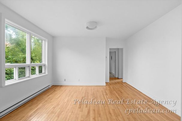 915 Av. Marguerite-Bourgeoys #30 - Photo 1