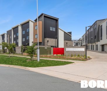 79/209 John Gorton Drive, Wright ACT 2611 - Apartment For Rent | Do... - Photo 5