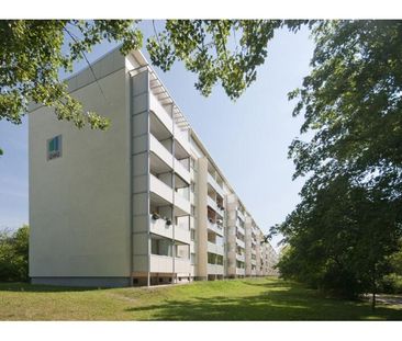 Schieloer Straße 10 - Harzer-Karree - Foto 5