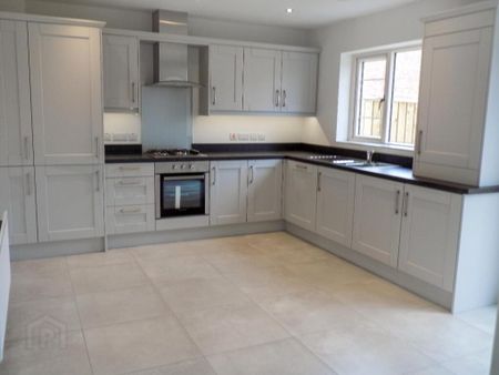 5 Larch Lane, Lisburn, BT28 2ZX - Photo 5