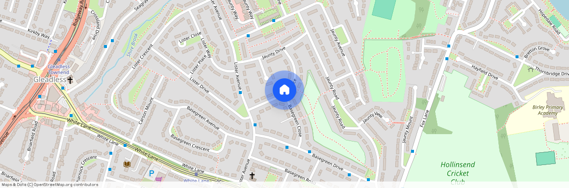 Jaunty Place, Basegreen, Sheffield, S12