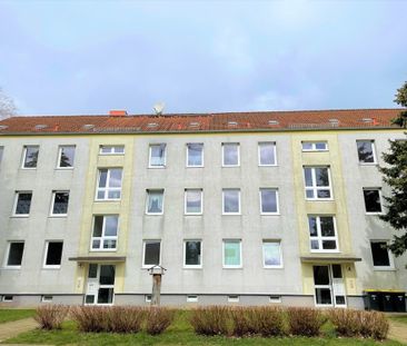 Willkommen in Ihrer neuen Wohnung in Wessin! - Foto 5