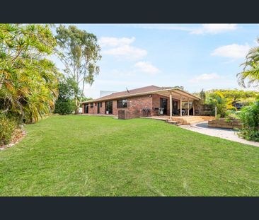 31 Orient Road, Yeronga, Qld 4104 - Photo 5