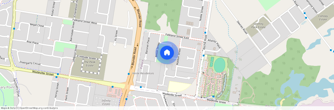 29 Sunbury Street, Qld 4110, Pallara