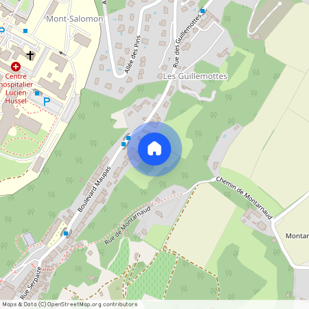 Vienne - 38200