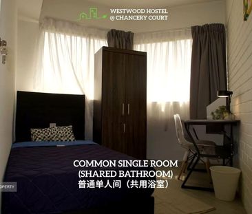 Dunearn Road (D11), Apartment - For Rent - Photo 6