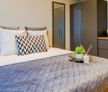 Penthouse 1 Bed Accessible Apartment - Photo 4