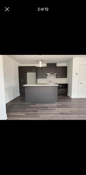 Appartement 4 1/2 à louer! - Photo 1