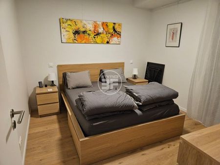 Alcazar F2 au coeur de Saint-Louis - Photo 3