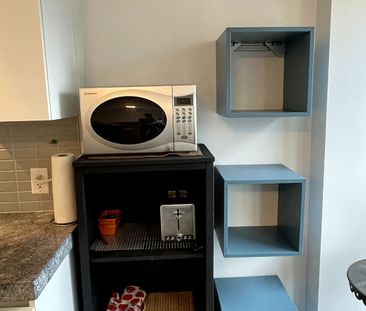 Thompson Residence Lofts 621-629 , #729 - Photo 5