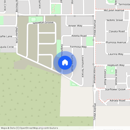 Delphinium Way 29, WA 6164, Beeliar