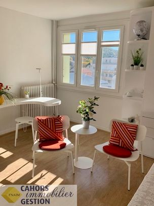 Location Appartement 1 pièce 24m² CAHORS 46000 - Photo 1