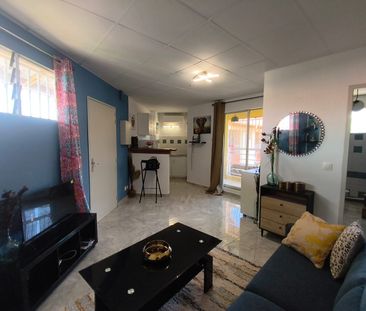 Location Appartement 1 pièce 24m² CAYENNE 97300 - Photo 3