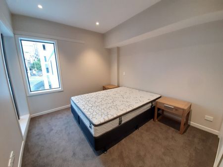 Light-Filled Windows at The Antipodean - Photo 5