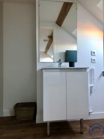 Location Appartement 1 pièce 15m² TOURS 37000 - Photo 5