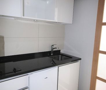 Location Appartement 1 pièce 24m² LILLE 59000 - Photo 1
