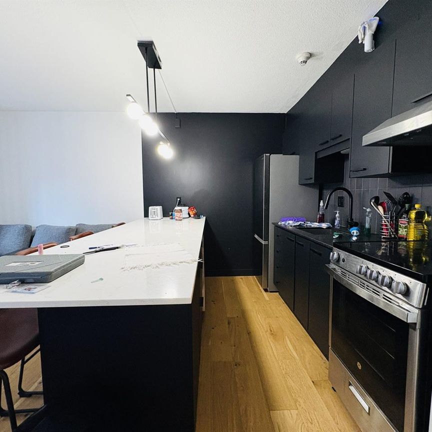 OSTRA Appartements Loft Studio Entièrement Meublé à Louer Saint-Jean-Baptiste Novembre 2025 - Photo 1