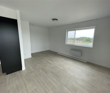 3½ 842-204 rue Lamarche, Sherbrooke J1H 0M9 (juillet) - Photo 1