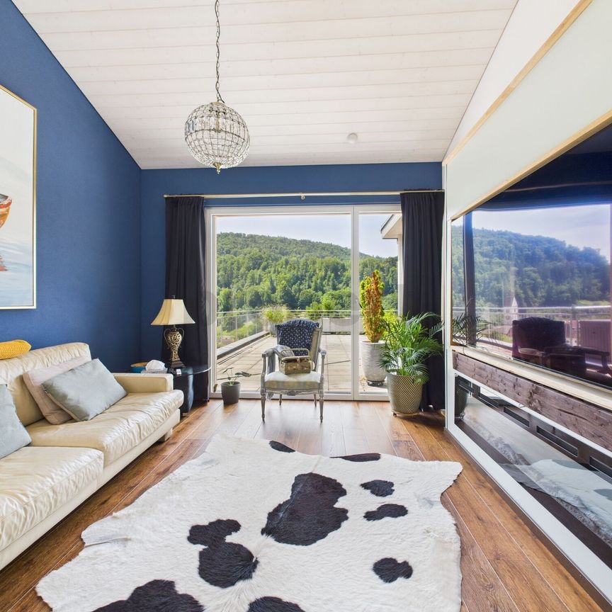 Attractive single-family house in the picturesque Mettauertal with a view of the Jura Park - Foto 1