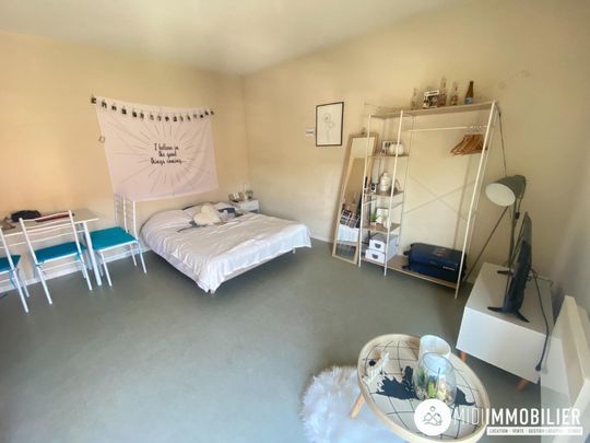 Location Appartement 1 pièce 21m² ALBI 81000 - Photo 1