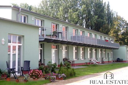 Gemütliches Wohnen mit Charme: 1-Raum-Wohnung in Magdeburg mit Terrasse! - Photo 4