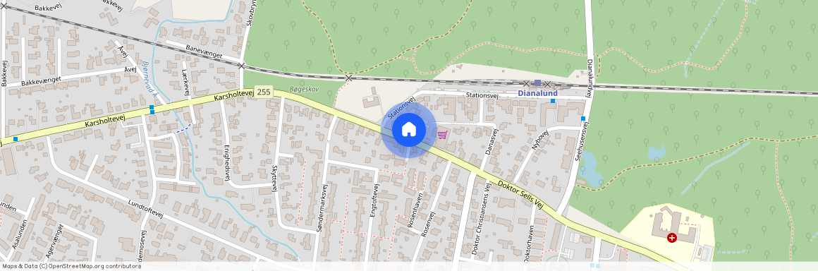 Dr. Sells Vej 47 1 1, 4293 Dianalund