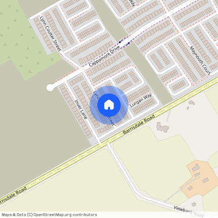 110 Lynn Coulter Street, Barrhaven