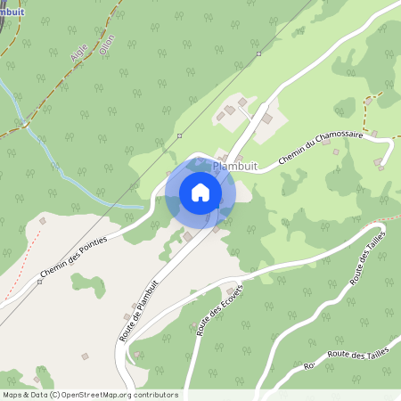 Route de Plambuit 43, 1867 Panex