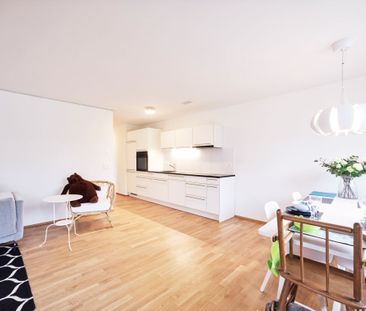 3.5 Zimmer, 74 m² - Foto 1