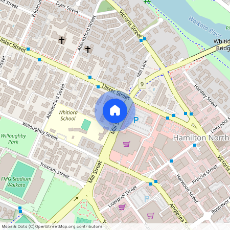 12 Mill Street, Whitiora, Hamilton City