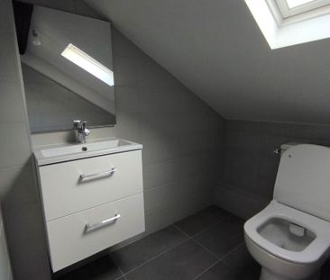 Location Appartement 1 pièce 13m² - Photo 5