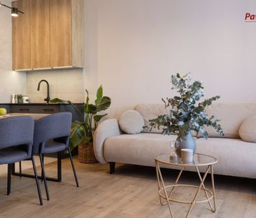 Bielsko-Biała, Centrum Mieszkanie na wynajem - Zdjęcie 4