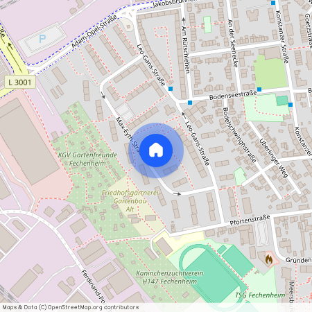 Max-Eyth-Str. 33, 60386, Frankfurt Am Main Ot Fechenheim