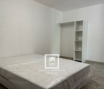 Location Appartement 1 pièce 38m² ST ESTEVE 66240 - Photo 3