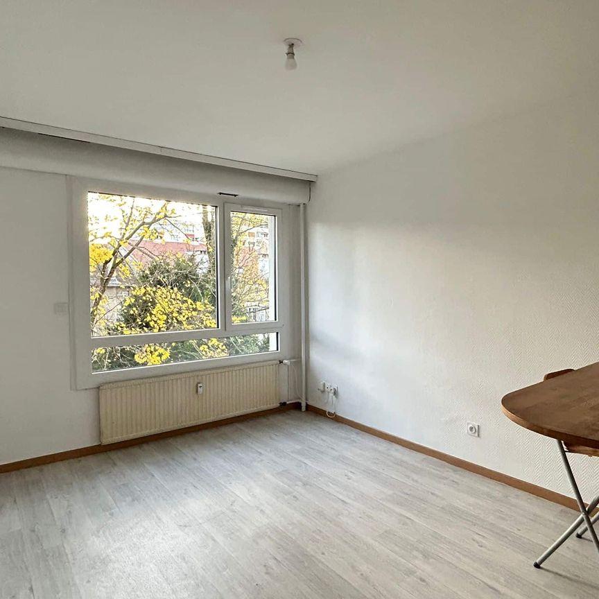 NANCY PROCHE FACS DES LETTRES ET DE DROIT STUDIO DE 22 M2 - Photo 1