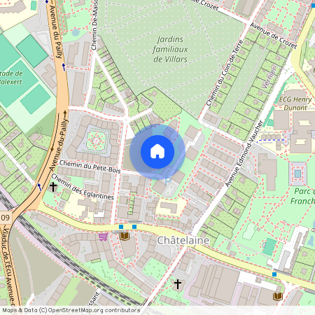 Chemin de Maisonneuve 12 B, 1219 Châtelaine