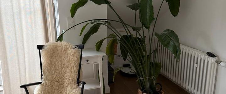 3Zi-DG-Wohnung in Hilden Süd - Foto 1