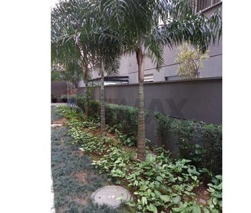 1 dormitório, excelente localização com 30 metros de area útil - Photo 6